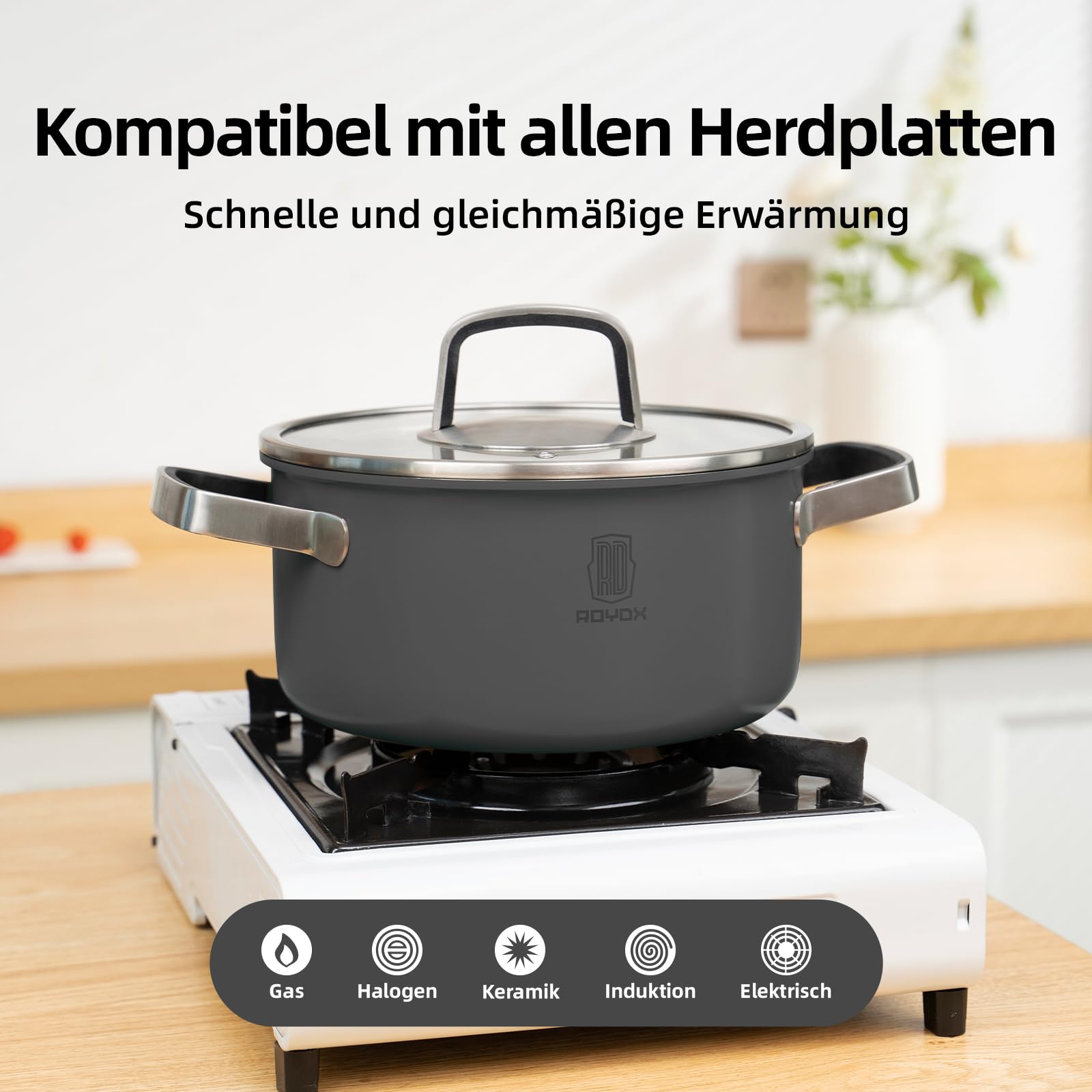 ROYDX Edelstahl Topfset Induktion, 6-teiliges Töpfe Set mit Glasdeckel und Stay Cool Griff topf set